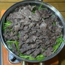 가을추 | 알차 죽겠네 죽겠어