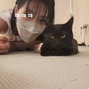 르폴스튜디오 이미지