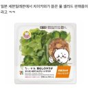 창작발레 애기섬 | 일상과 (본론) 카페인중독 두바이 초코 와플 후기