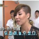 장어랑고기랑 네이버블로그