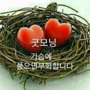 From the New World 이미지