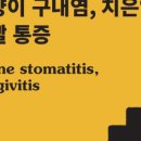 고양이병원 소설 이미지