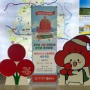 합천군청 이미지