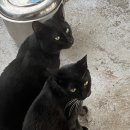 매물도별장민박 이미지