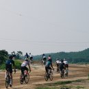 라파 코리아 이미지