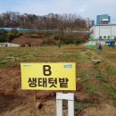 흥덕농장 | 경기도민텃밭 용인 시민 분양하는 흥덕 농장 신청 방법 및 후기