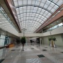 6층 PT의 자격 이미지