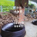 영화야채과일 | 연천 수농원 후기 | 예약 한 달 전 필수! 하루 한 팀 프라이빗 실내수영장·과일체험까지