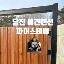 멍도리 | [당진] 프렌치불독 가능한 (견종상관없음) 애견펜션, 당진 &#34;파머스 데이&#34;