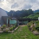 왈왈스테이 이미지