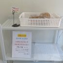 빵포유 이미지