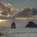 바다 어울림 이미지