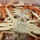 선영수산 이미지