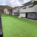 메르시 애견 펜션 이미지