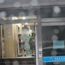 피구 | 강동구 대표 학교스포츠클럽 피구대회 참가 후기~! 잠실학생체육관