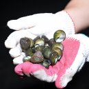 안도어촌체험휴양마을 이미지