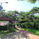 한여울통나무랜드 이미지