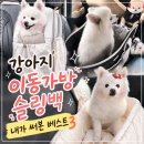 제나's 펫택시 | 강아지 이동가방 내가 써본 것 중 베스트3 슬링백 백팩