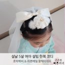 리리유치원 | 여아 설빔 한복 코디 &amp; 헤어 악세사리 추천, 엄마표홈스냅(리리스펠 호박배씨 머리띠,꽃담 리본 베일 후기)