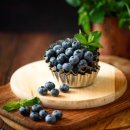 블루베리 이미지