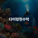 다이빅현수막 자세한 후렉스 메쉬 소재 설명 디자인 시안 무료 제공