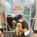 골든캐슬 쇼룸 이미지