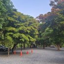 하얀여울민박 이미지