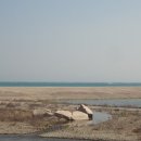 대본3리 이미지