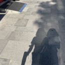 메가커피정동점 | 내가 죽도록 뺑이쳐서 들어가고 싶은 곳이 고작 회사라니