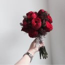 푸루스플라워 | [W.18] 푸루스플라워(웨딩 부케 + 부토니에) 예약 및 후기! [강원도 속초 꽃집 추천, 미기후 스튜디오...