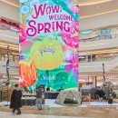 캠핑스타 이미지