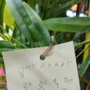 노래야노래야코인노래연습장 대구혁신점 이미지