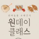 댕이 데이 이미지