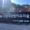 국립대관령치유의숲 이미지