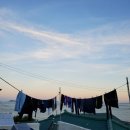 대권민박 이미지