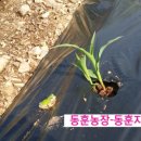 동훈농장 이미지