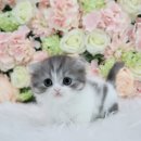 필상농장 이미지