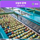 문제와정답