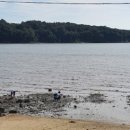 에떼르모 이미지