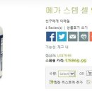 메가스템
