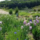 한은농장 이미지