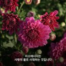 미소에너지