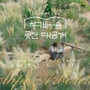 마검포힐링캠핑장 이미지