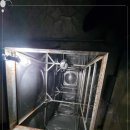 스마일청소방역