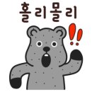 청년피자화북삼화점 네이버블로그