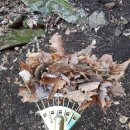 귀산 농장 이미지