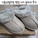 겨울 신발 오즈웨어 어그 슬리퍼 추천 도브컬러 사이즈팁 호주 해외직구 후기