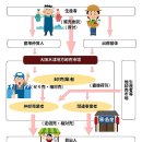 전통중앙도매 이미지
