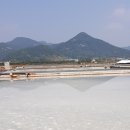 곰소토굴젓갈