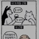 해피한 멍 | 달바기의 호치민일상🎂🍀 또 발가락 골절이라면 믿으시겠어요?🛌🏽